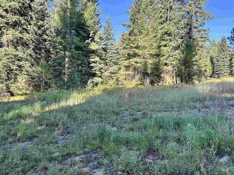 17 Andy, Donnelly, ID 83615