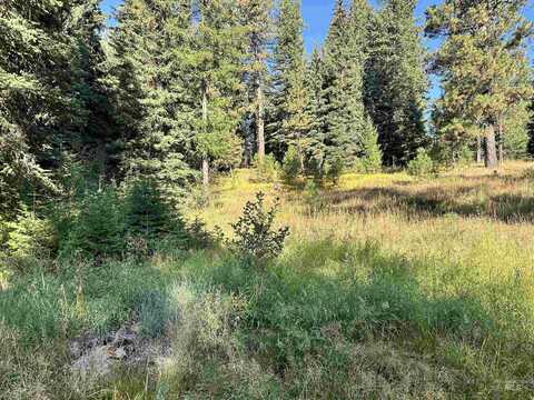 2195 Davy, Donnelly, ID 83615