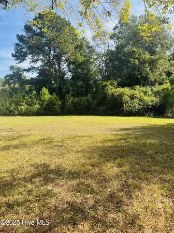 1515 Charlotte Avenue, Kinston, NC 28501