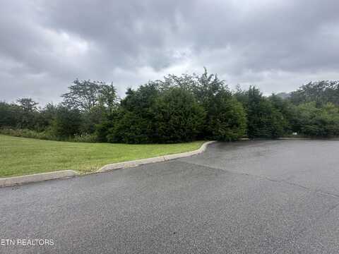 Tbd CADDY Court, Tazewell, TN 37879