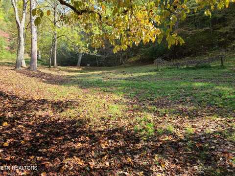 399 Cooper Rd, Vonore, TN 37885
