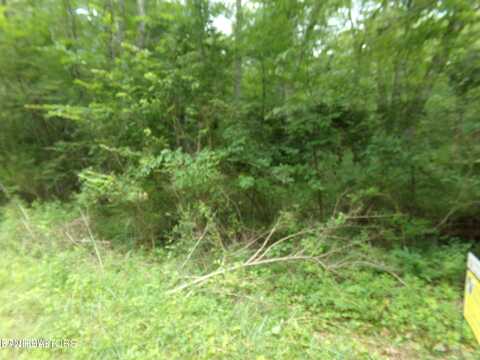 1302 Black Cloud Drive, Crossville, TN 38572