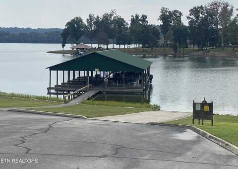 Lake Harbor Drive, Spring City, TN 37381