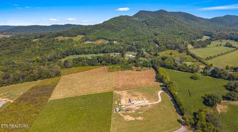 Tree Top Lane, Tellico Plains, TN 37385