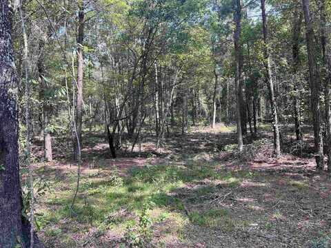 Tbd County Rd 476, Henderson, TX 75654