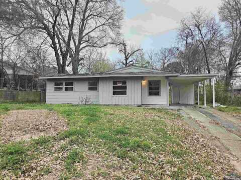 236 Germany Ave, Lone Star, TX 75668