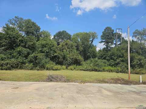 Tbd NE Loop, Carthage, TX 75633