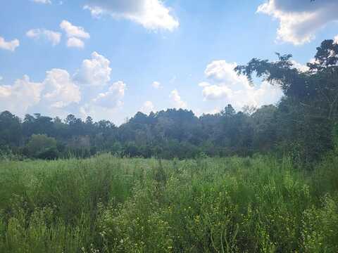 667 FM 3228, Nacogdoches, TX 75964