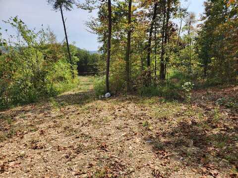 Routt Road lot: #3, Wallingford, KY 41093