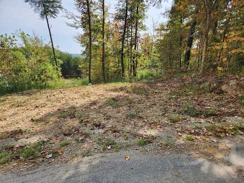 Routt Road lot: #2, Wallingford, KY 41093