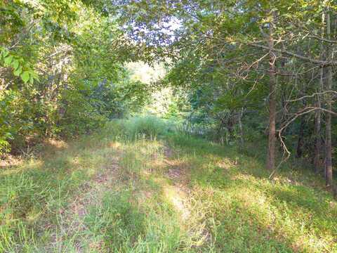 0 ELM GROVE, Burlison, TN 38015