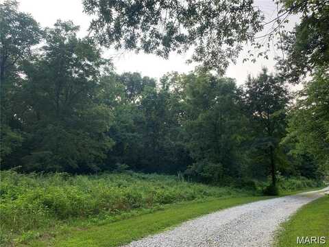 0 Staghorn Lane, Wright City, MO 63390