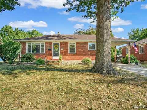 713 Bollman Avenue, Edwardsville, IL 62025