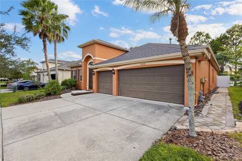 20036 BLUFF OAK BOULEVARD, TAMPA, FL 33647