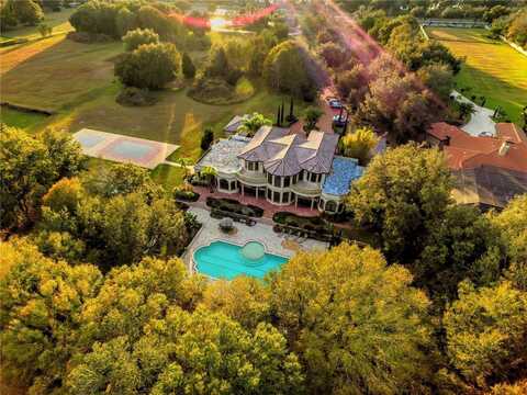 117 BELLAMERE PALMS COURT, LUTZ, FL 33549