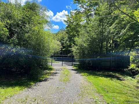 351 Greenville Road, Sundown, NY 12740