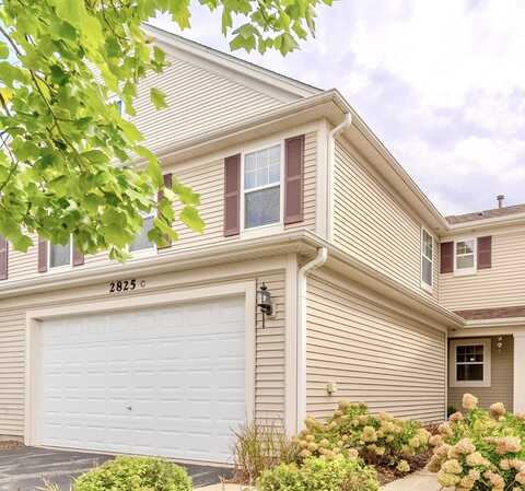 2825 Glacier Way, Wauconda, IL 60084