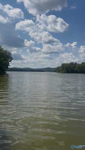 655 County Road 585, Cedar Bluff, AL 35959