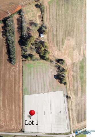 479 Narrow Lane, New Market, AL 35759