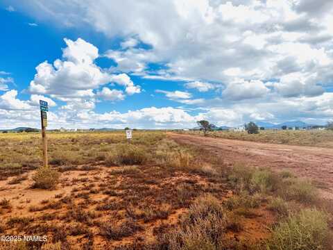2505 E Antelope Vista, Williams, AZ 86046