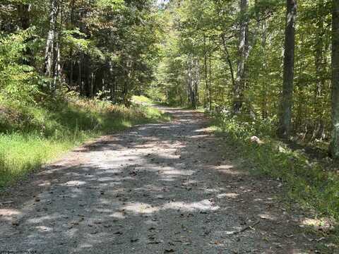 Lot 1 Possum Hollow Road, Terra Alta, WV 26764