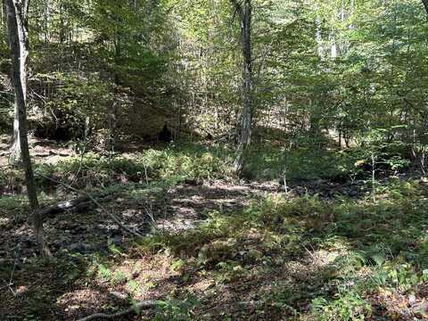 Lot 2 Possum Hollow Road, Terra Alta, WV 26764