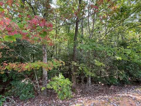 #103 Heritage Trail, Brasstown, NC 28902