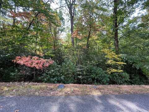 #104 Heritage Trail, Brasstown, NC 28902