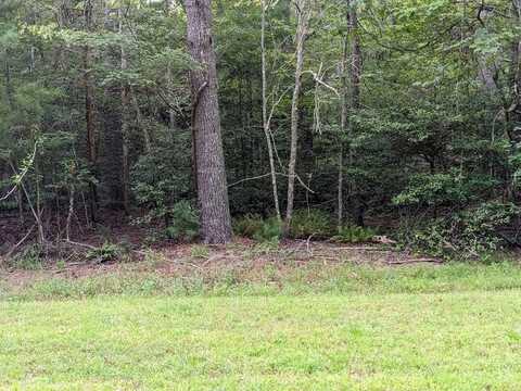 Lot 11 Quail Cove Circle, Warne, NC 28909