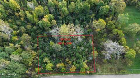 V/L Washington Avenue, MtMorrisTownship_Genesee, MI 48458