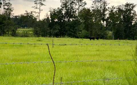 9763 SW SW 72ST, Lake Butler, FL 32054
