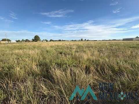 000 E Amazon, Portales, NM 88130