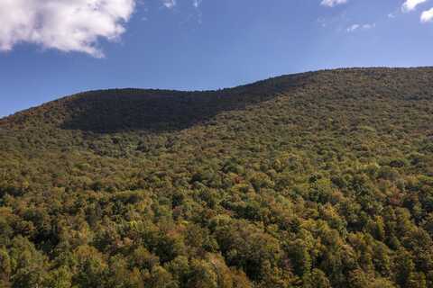 0 Tower Road, Dorset, VT 05251