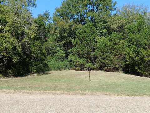 Tbd Cedar Elm Drive, Whitney, TX 76692