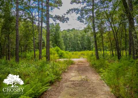 3101 Donnelly Lane, Johns Island, SC 29455