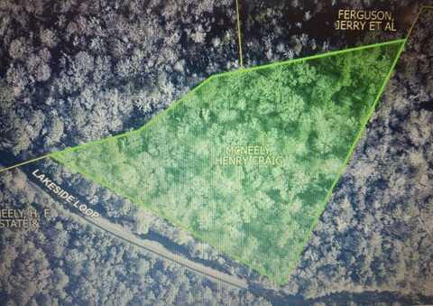 0 Lakeside Loop, Many, LA 71449