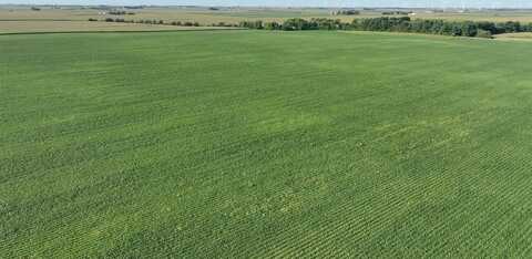 TBD N 3200 E Rd, Dwight, IL 60420