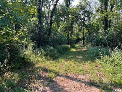 Rr N 1800 Road, Blandinsville, IL 61420