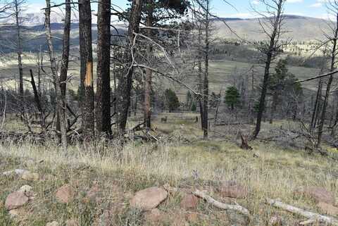 Soubry Pl, Fort Garland, CO 81133