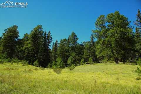 6500 CR 5 Road, Divide, CO 80814