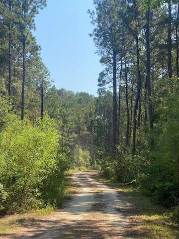 60 Horseshoe Lane, Carriere, MS 39426