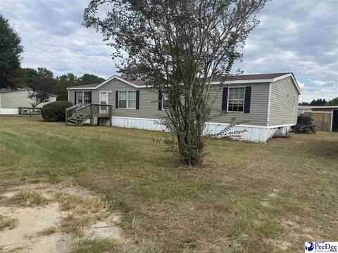 1413 Madania Driive, Dillon, SC 29536