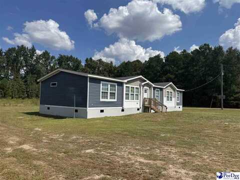 2260 Discus Lane, Effingham, SC 29541