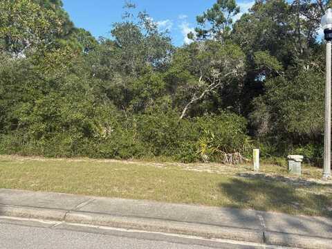 114 Spoonbill Ct, Carrabelle, FL 32323