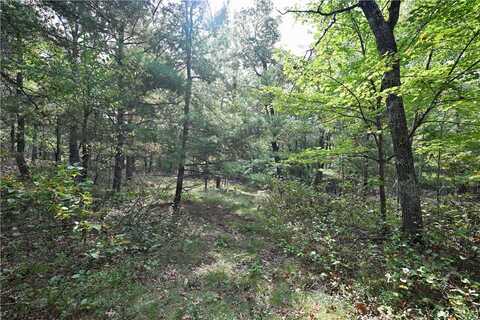 Dragon Drive lot: 2, Minong, WI 54859