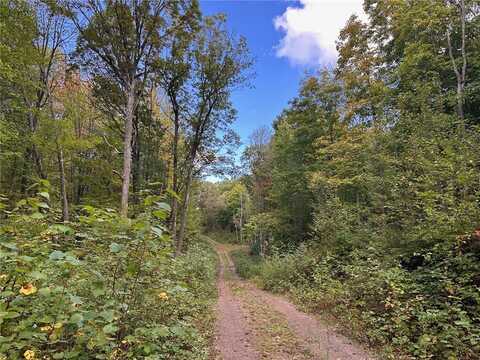 County Forest Road, Stone Lake, WI 54876