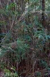 Lot 2 Maple St, Suffolk, VA 23432