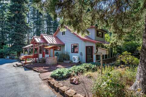 5339 HARDSCRABBLE RD, Drain, OR 97435