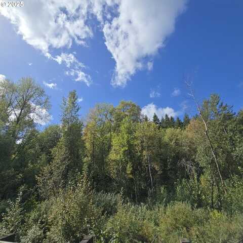 Beaver Springs, Rainier, OR 97048