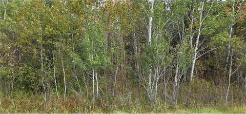 Tbd 2nd Avenue E, International Falls, MN 56649
